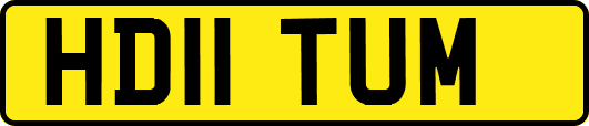 HD11TUM