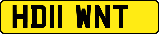 HD11WNT