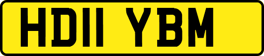 HD11YBM