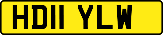 HD11YLW