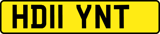 HD11YNT