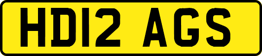 HD12AGS