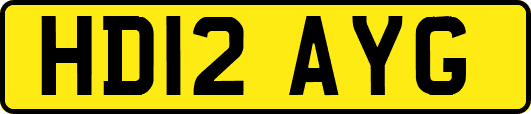 HD12AYG