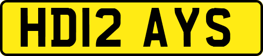 HD12AYS