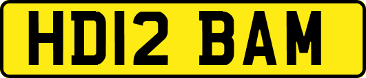 HD12BAM