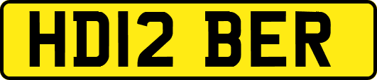 HD12BER