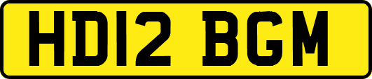 HD12BGM