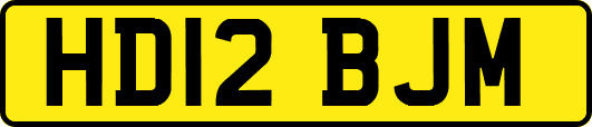 HD12BJM