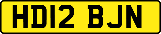HD12BJN
