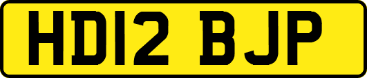 HD12BJP