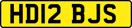 HD12BJS