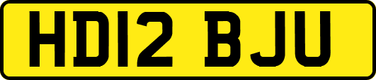 HD12BJU