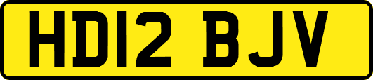 HD12BJV