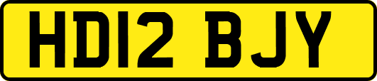HD12BJY