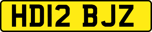HD12BJZ