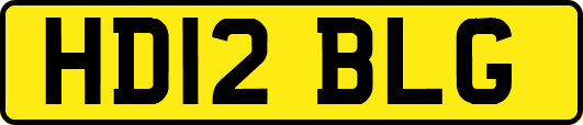 HD12BLG