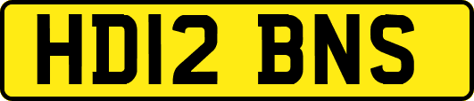 HD12BNS