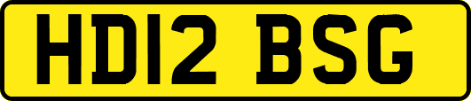 HD12BSG