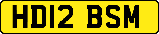 HD12BSM