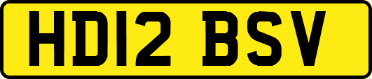HD12BSV