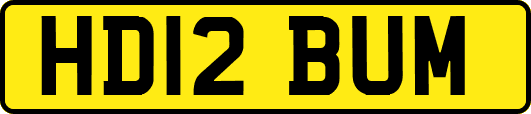 HD12BUM