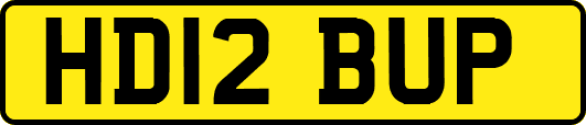 HD12BUP