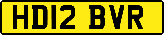 HD12BVR