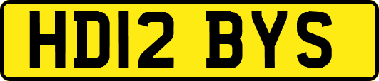 HD12BYS