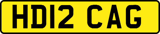 HD12CAG