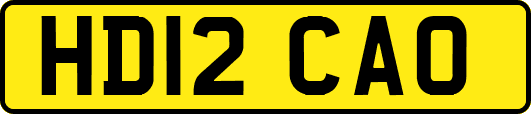 HD12CAO