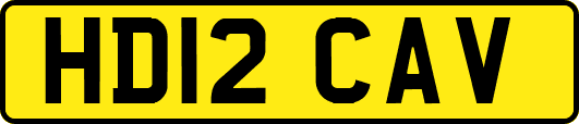 HD12CAV