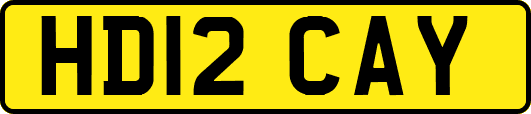 HD12CAY