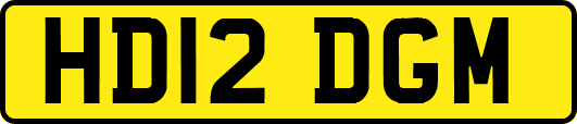 HD12DGM