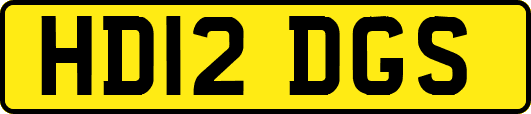HD12DGS