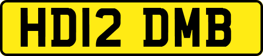 HD12DMB