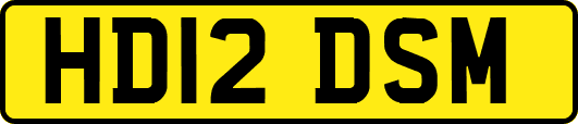 HD12DSM