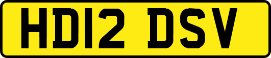 HD12DSV