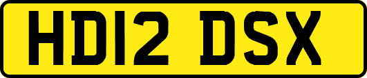 HD12DSX