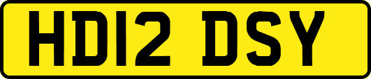 HD12DSY