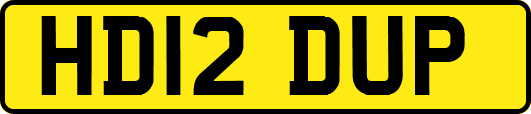 HD12DUP