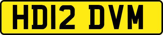 HD12DVM