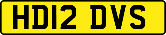 HD12DVS