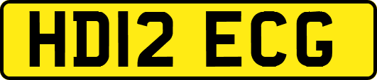 HD12ECG