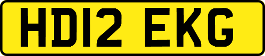 HD12EKG