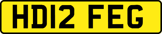 HD12FEG