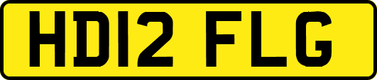 HD12FLG