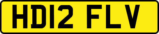 HD12FLV