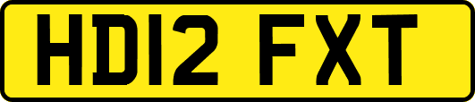 HD12FXT