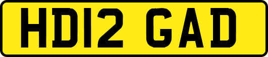 HD12GAD