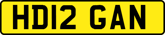 HD12GAN
